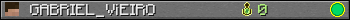 GABRIEL_ViEIRO userbar 350x20