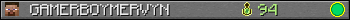 GAMERBOYMERVYN userbar 350x20