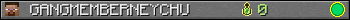 GANGMEMBERNEYCHU userbar 350x20