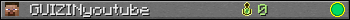 GUIZINyoutube userbar 350x20