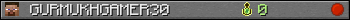 GURMUKHGAMER30 userbar 350x20