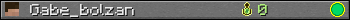 Gabe_bolzan userbar 350x20