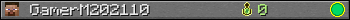 GamerM202110 userbar 350x20