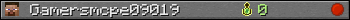 Gamersmcpe09019 userbar 350x20