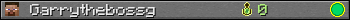 Garrythebossg userbar 350x20