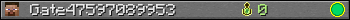 Gate47597089953 userbar 350x20