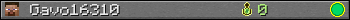 Gavo16310 userbar 350x20