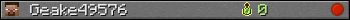 Geake49576 userbar 350x20