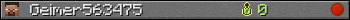 Geimer563475 userbar 350x20