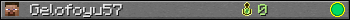 Gelofoyu57 userbar 350x20