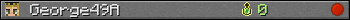 George49A userbar 350x20
