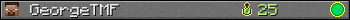 GeorgeTMF userbar 350x20