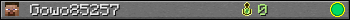 Gowo85257 userbar 350x20