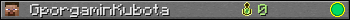 GporgaminKubota userbar 350x20