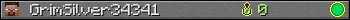 GrimSilver34341 userbar 350x20