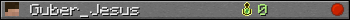 Guber_Jesus userbar 350x20