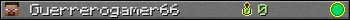 Guerrerogamer66 userbar 350x20