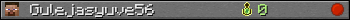 Gulejasyuve56 userbar 350x20