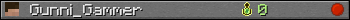 Gunni_Gammer userbar 350x20