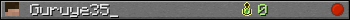 Guruye35_ userbar 350x20