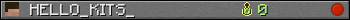 Benutzerleisten 350x20 für HELLO_KITS_