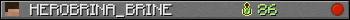 HEROBRINA_BRINE userbar 350x20