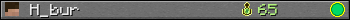 H_bur userbar 350x20