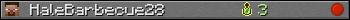 HaleBarbecue28 userbar 350x20