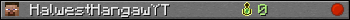 HalwestHangawYT userbar 350x20