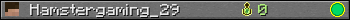 Hamstergaming_29 userbar 350x20