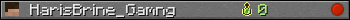 HarisBrine_Gamng userbar 350x20