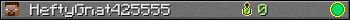 HeftyGnat425555 userbar 350x20