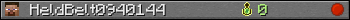 HeldBelt0940144 userbar 350x20