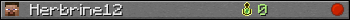 Herbrine12 userbar 350x20