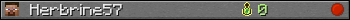 Herbrine57 userbar 350x20