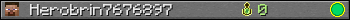 Herobrin7676897 userbar 350x20