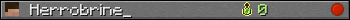 Herrobrine_ userbar 350x20