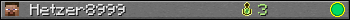 Hetzer8999 userbar 350x20