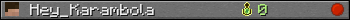 Hey_Karambola userbar 350x20