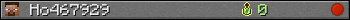 Ho467929 userbar 350x20
