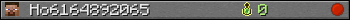 Ho6164892065 userbar 350x20