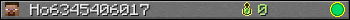 Ho6345406017 userbar 350x20