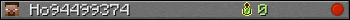 Ho94499374 userbar 350x20