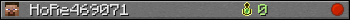 HoRe469071 userbar 350x20