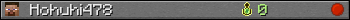 Hohuhi478 userbar 350x20