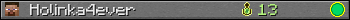 Benutzerleisten 350x20 für Holinka4ever