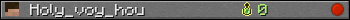 Holy_voy_hou userbar 350x20