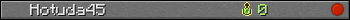 Hotuda45 userbar 350x20