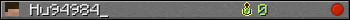 Hu94984_ userbar 350x20