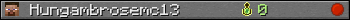 Hungambrosemc13 userbar 350x20